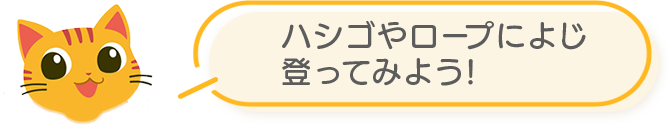 ハシゴやロープによじ登ってみよう!